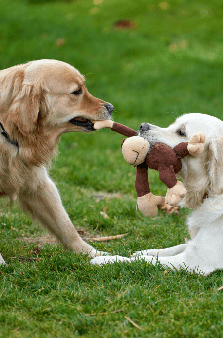 Happy Products Image