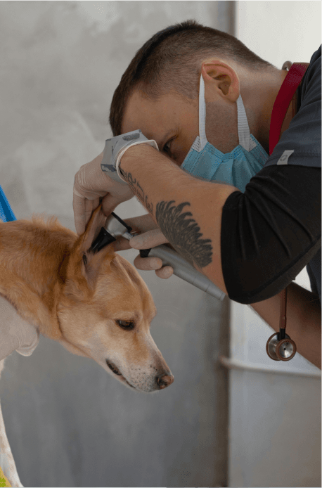 Happy Products Image