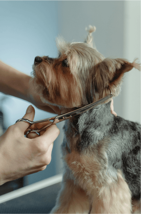 Happy Products Image